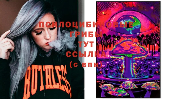 прущие крисы Алзамай