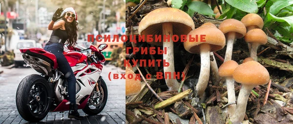 прущие крисы Алзамай