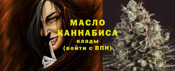 СК Алексин