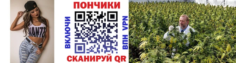 darknet официальный сайт  hydra ONION  Тайшет  Марихуана LSD WEED 